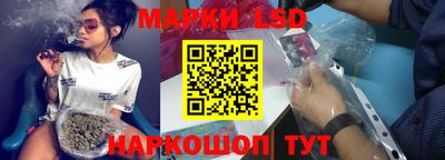 амф Новодвинск