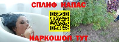 амф Новодвинск