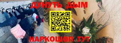 ешки Новозыбков