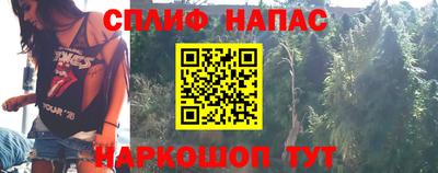 ешки Новозыбков