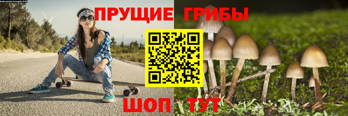 Псилоцибиновые грибы мухоморы Бузулук