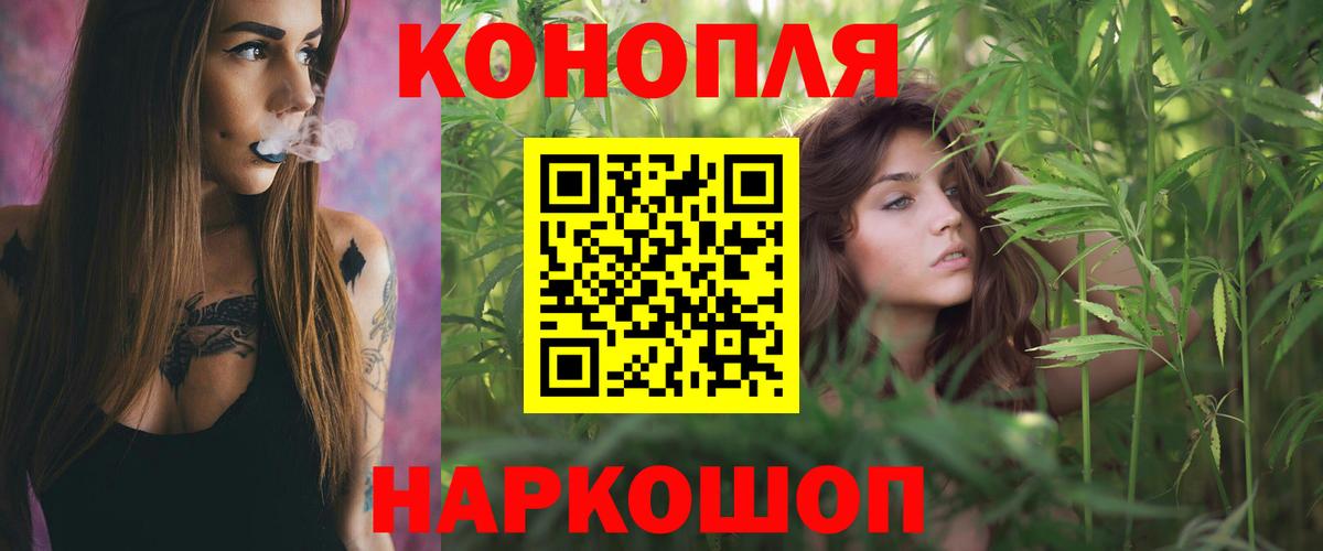 Шишки марихуана планчик  Бошки марихуана план  Бузулук  Вход с VPN 